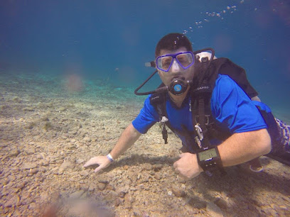 Quahog Dive Center