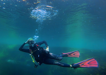 Ranger Rick's Scuba Adventure