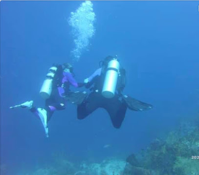 Ozark Dive