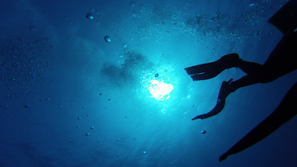 Central Oregon Diving