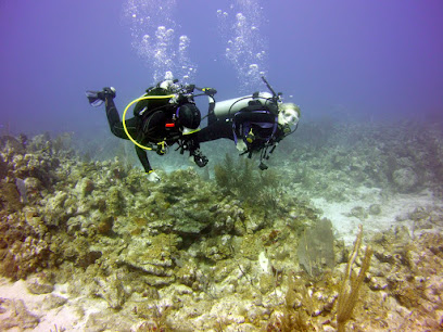 Like 'da Fish SCUBA