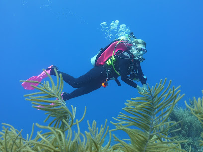 Indian Valley Scuba