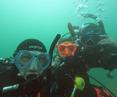 Kung Fu Divers