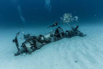 Aaron's Dive Shop