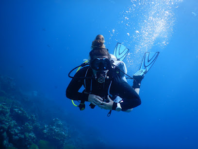 Scuba Duck Diving School