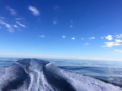 High Ty'd Charters