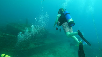 American Dream Dive Charters