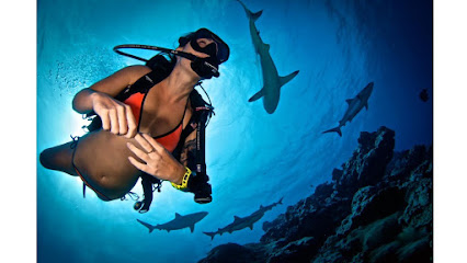 Davey Bones Scuba Center
