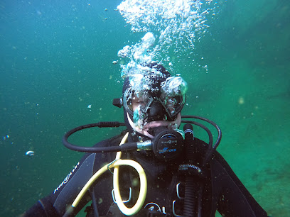 arizona aquanauts