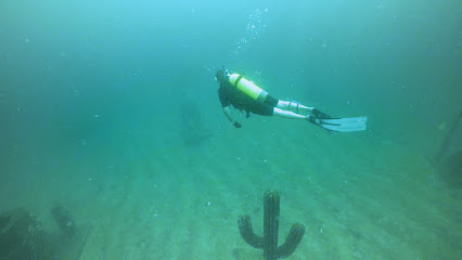 Dive30A