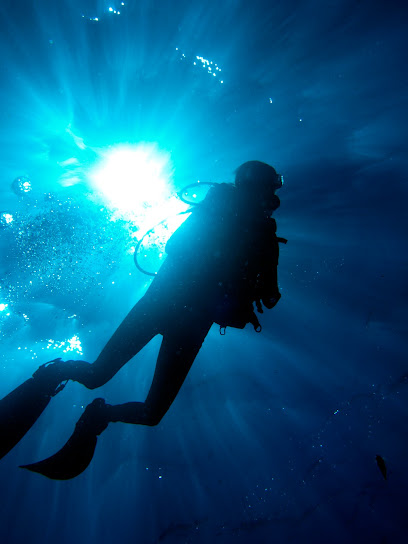 divetechscubawv