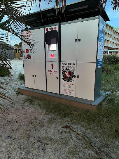 SHARK Casino Beach