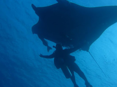 Easy Diver Trips