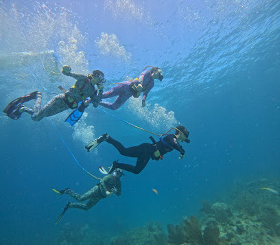 Snuba of Key West