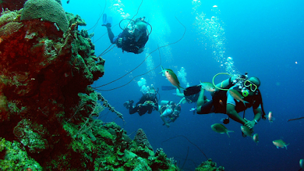 A Diver's World