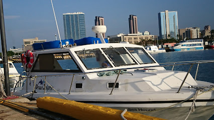 Green Dolphin Dive Shop