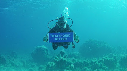 Landshark Scuba & Snorkel Center