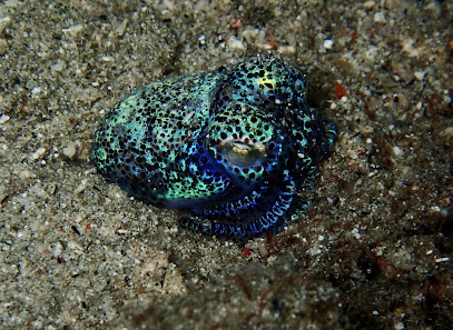 Flatirons Scuba & Travel