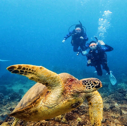 Sunshine Scuba