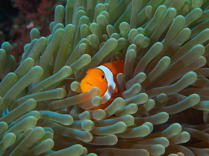 Island Hoppers Scuba