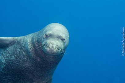 Explore Kauai Scuba, LLC