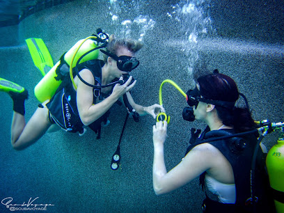 Dive Arizona