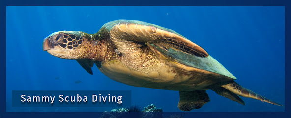 Sammy Scuba Diving