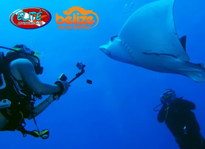 Belize Diving Services