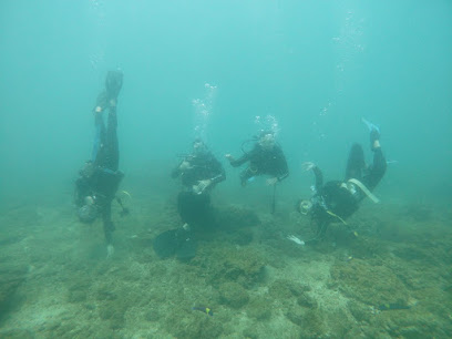 Dive With Jose Costa Rica