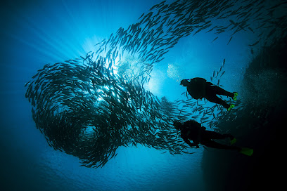 Scuba Dive Costa Rica | Tamarindo