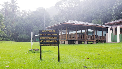 Experience Osa Peninsula Tours