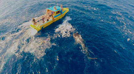 Utila Dive Centre