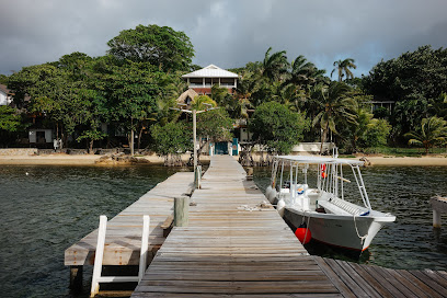 Best Dive Roatan