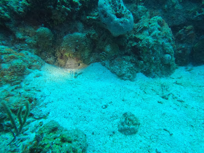 Hole in the Wall Scuba Dive Site