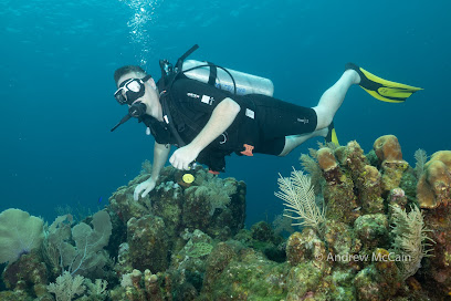 Sandy Bay Divers at Blue Bahia