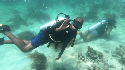 Bocas Tec Diving