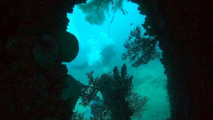 S.E.Aruba Fly 'N Dive