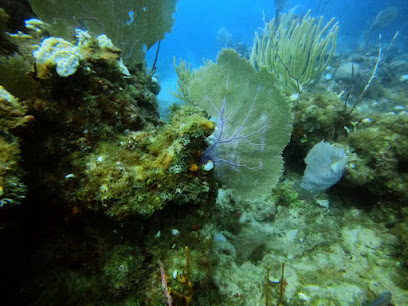 Sunchaser Scuba