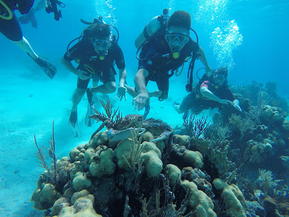 International Blue Dive Center