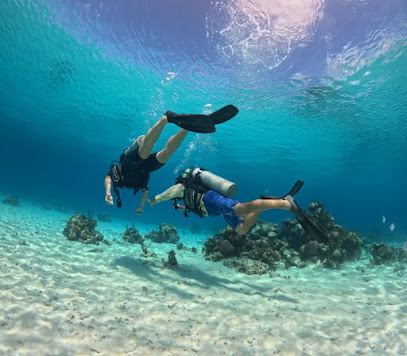 Scubalibre Varadero