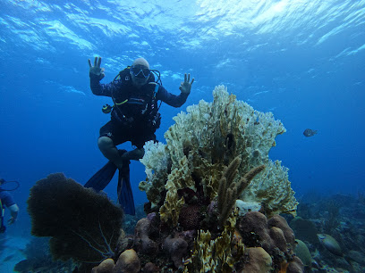 Barracuda Diving Centre