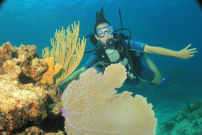 Scuba Diving Cuba - UnderwaterCuba