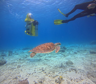Aquafari