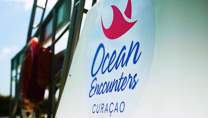 Ocean Encounters at LionsDive Beach Resort