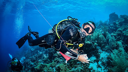 Paradise Diving Curacao