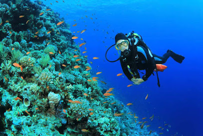 Ritual Diver