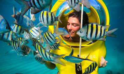 Scuba Doo