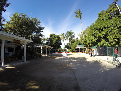 Isla Catalina Diving