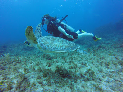 Dolin Dive Center