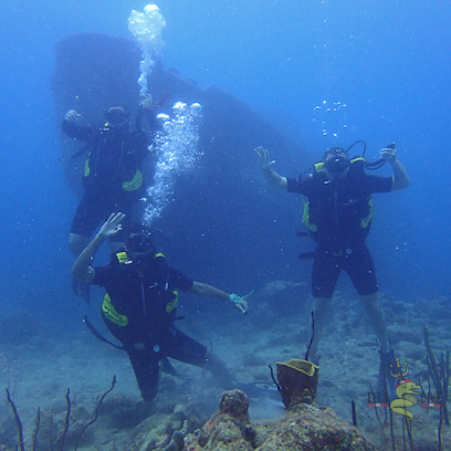 Eel's Dive Shop